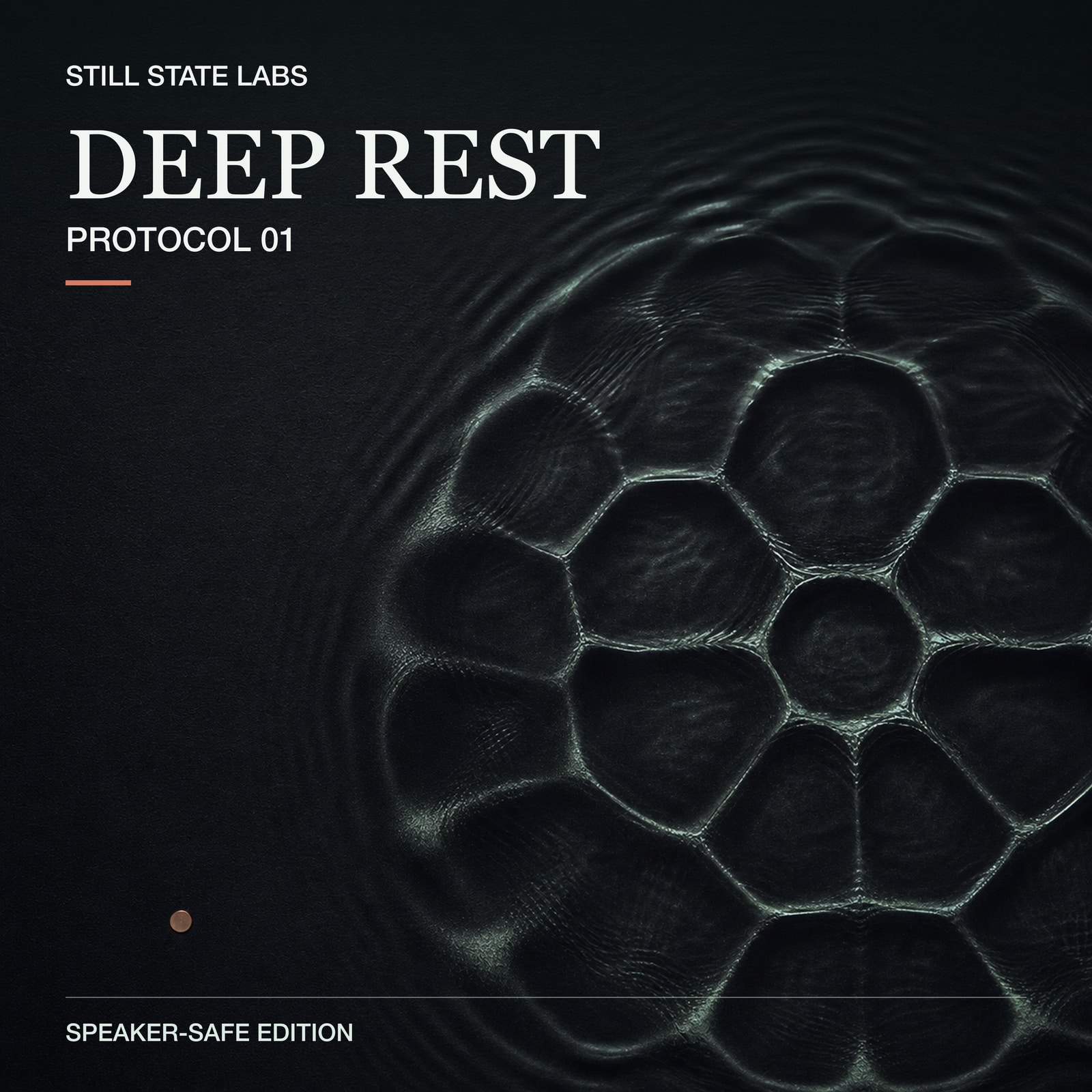 Deep Rest Protocol 01, Speaker-Safe Edition artwork